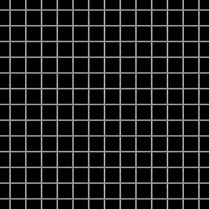 2X2 Welded Wire Mesh