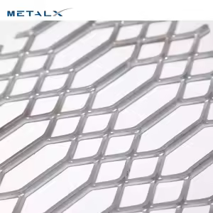 Mold Sample